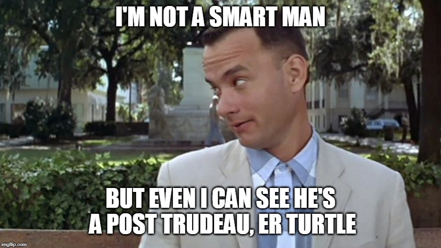 Forrest Gump Face | I'M NOT A SMART MAN; BUT EVEN I CAN SEE HE'S A POST TRUDEAU, ER TURTLE | image tagged in forrest gump face | made w/ Imgflip meme maker