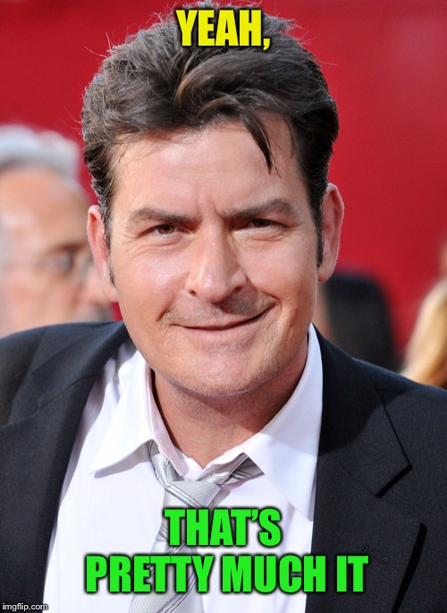 CHARLIE SHEEN | YEAH, THAT’S PRETTY MUCH IT | image tagged in charlie sheen | made w/ Imgflip meme maker