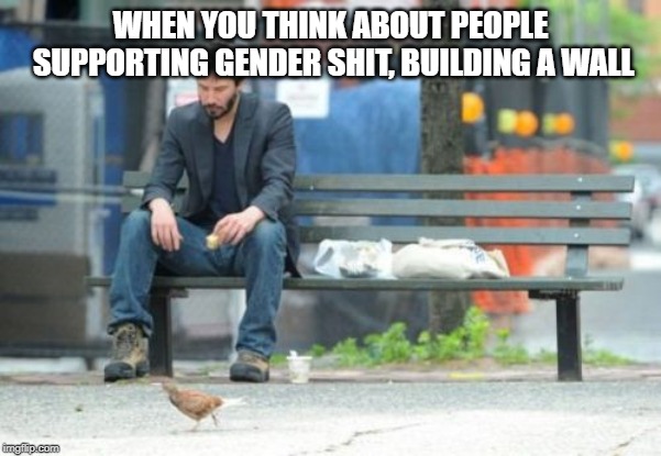 Sad Keanu Meme |  WHEN YOU THINK ABOUT PEOPLE SUPPORTING GENDER SHIT, BUILDING A WALL | image tagged in memes,sad keanu | made w/ Imgflip meme maker