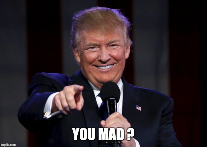 YOU MAD ? | image tagged in trump,election 2020 | made w/ Imgflip meme maker