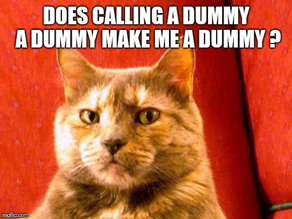 Suspicious Cat Meme | DOES CALLING A DUMMY A DUMMY MAKE ME A DUMMY ? | image tagged in memes,suspicious cat | made w/ Imgflip meme maker