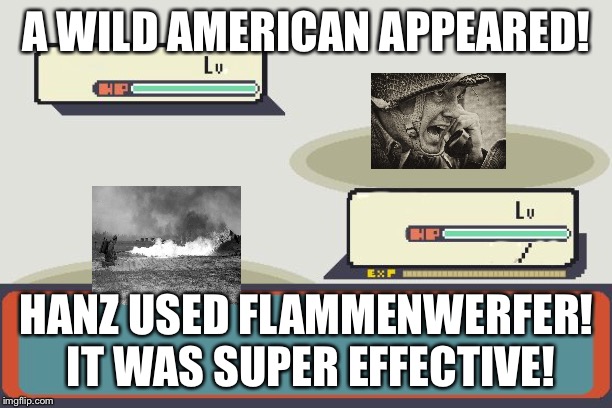 Pokemon Battle | A WILD AMERICAN APPEARED! HANZ USED FLAMMENWERFER! IT WAS SUPER EFFECTIVE! | image tagged in pokemon battle | made w/ Imgflip meme maker