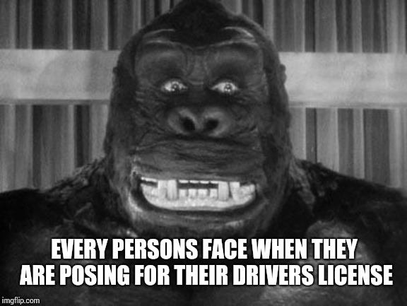 King kong | EVERY PERSONS FACE WHEN THEY ARE POSING FOR THEIR DRIVERS LICENSE | image tagged in king kong | made w/ Imgflip meme maker