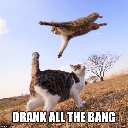 DRANK ALL THE BANG | image tagged in energy drinks | made w/ Imgflip meme maker
