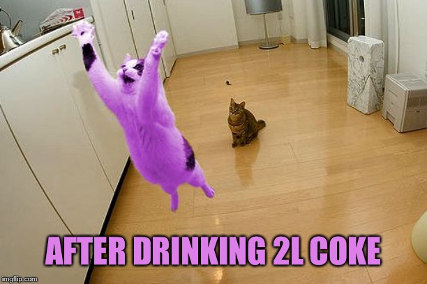 RayCat save the world | AFTER DRINKING 2L COKE | image tagged in raycat save the world | made w/ Imgflip meme maker