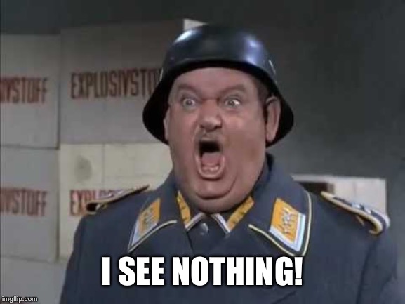 Sgt. Schultz shouting | I SEE NOTHING! | image tagged in sgt schultz shouting | made w/ Imgflip meme maker