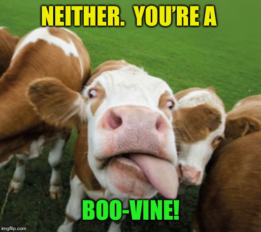 NEITHER.  YOU’RE A BOO-VINE! | made w/ Imgflip meme maker