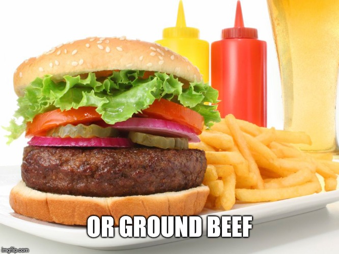 Hamburger  | OR GROUND BEEF | image tagged in hamburger | made w/ Imgflip meme maker