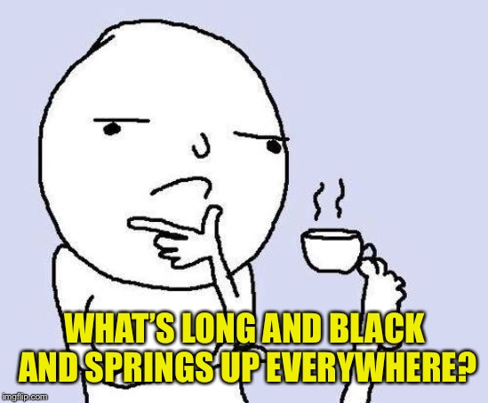 thinking meme | WHAT’S LONG AND BLACK AND SPRINGS UP EVERYWHERE? | image tagged in thinking meme | made w/ Imgflip meme maker
