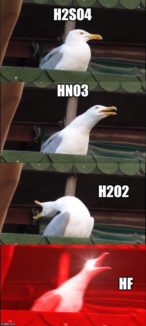 [Inhales Chemistry, Exhales Fart]
HF so hot, made the seagull burn. | H2SO4; HNO3; H2O2; HF | image tagged in memes,inhaling seagull,my chemical romance,burn,higher education | made w/ Imgflip meme maker