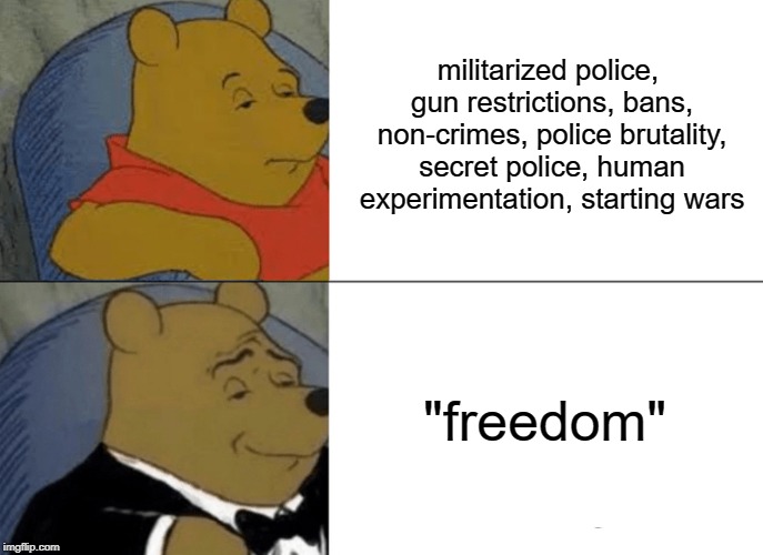 America. :) |  militarized police, gun restrictions, bans, non-crimes, police brutality, secret police, human experimentation, starting wars; "freedom" | image tagged in memes,tuxedo winnie the pooh,political meme | made w/ Imgflip meme maker