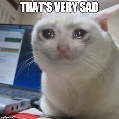 Crying cat | THAT'S VERY SAD | image tagged in crying cat | made w/ Imgflip meme maker
