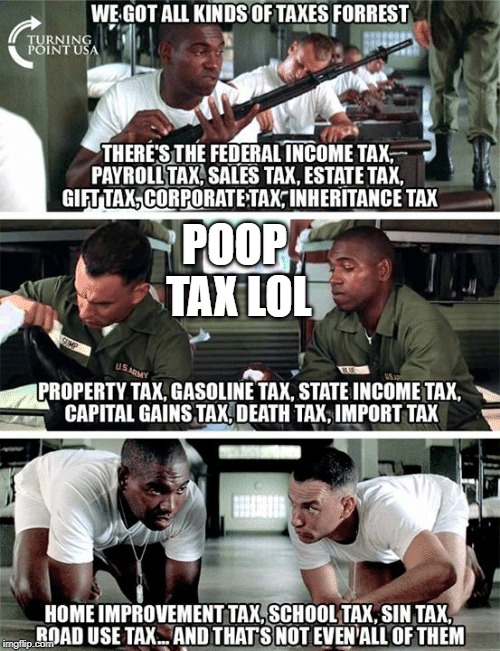 lol poop tax l | POOP TAX LOL | image tagged in taxes | made w/ Imgflip meme maker