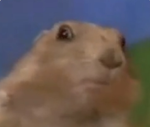 Meth Gopher Blank Meme Template