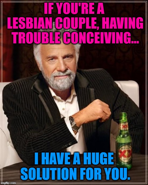 The Most Interesting Man In The World | IF YOU'RE A LESBIAN COUPLE, HAVING TROUBLE CONCEIVING... I HAVE A HUGE SOLUTION FOR YOU. | image tagged in memes,the most interesting man in the world,funny,relationships,funny memes,first world problems | made w/ Imgflip meme maker