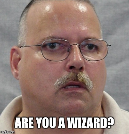 are you a wizard | ARE YOU A WIZARD? | image tagged in are you a wizard | made w/ Imgflip meme maker