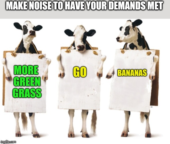 Make noise | MAKE NOISE TO HAVE YOUR DEMANDS MET | image tagged in make noise | made w/ Imgflip meme maker