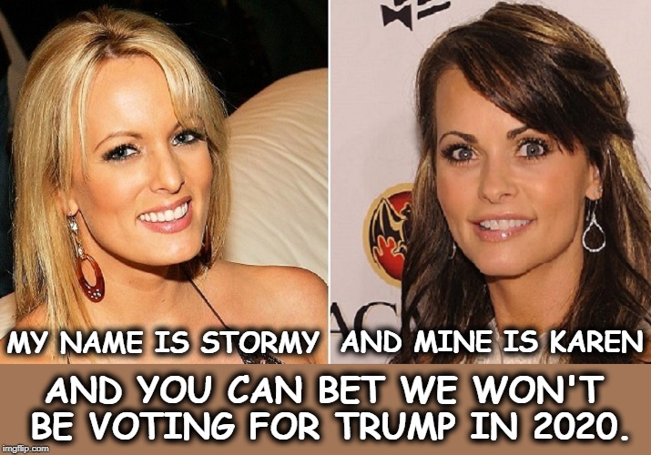 What kind of man can't stay faithful to any of three beautiful wives? | MY NAME IS STORMY; AND MINE IS KAREN; AND YOU CAN BET WE WON'T BE VOTING FOR TRUMP IN 2020. | image tagged in stormy daniels,karen,trump,election 2020 | made w/ Imgflip meme maker