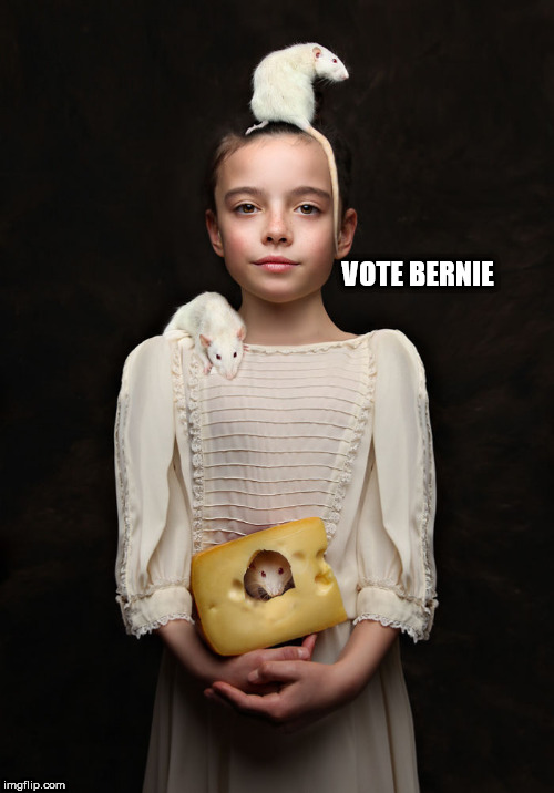 rats | VOTE BERNIE | image tagged in rats | made w/ Imgflip meme maker