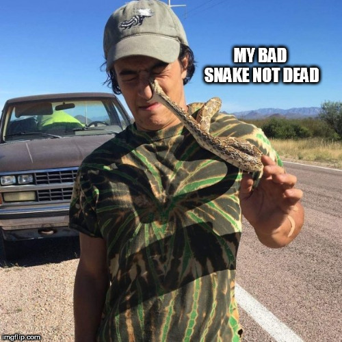 wtf | MY BAD SNAKE NOT DEAD | image tagged in wtf | made w/ Imgflip meme maker