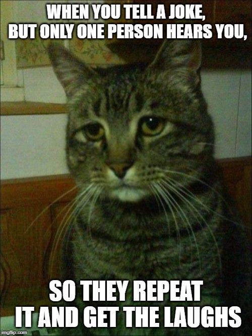 Depressed Cat Meme | WHEN YOU TELL A JOKE, BUT ONLY ONE PERSON HEARS YOU, SO THEY REPEAT IT AND GET THE LAUGHS | image tagged in memes,depressed cat | made w/ Imgflip meme maker