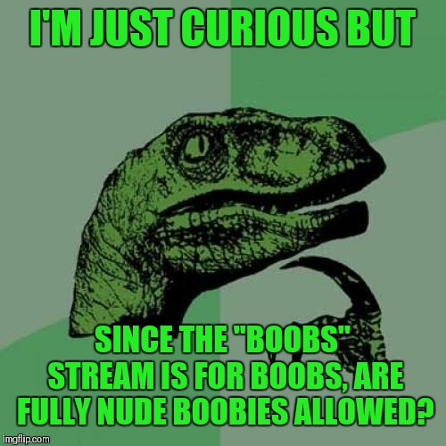 I'm the owner of the stream, but I'm wondering if the same rules apply to the "boobs" stream, as they do too the "fun" stream | I'M JUST CURIOUS BUT; SINCE THE "BOOBS" STREAM IS FOR BOOBS, ARE FULLY NUDE BOOBIES ALLOWED? | image tagged in memes,philosoraptor,boobs,imgflip,imgflip mods,44colt | made w/ Imgflip meme maker