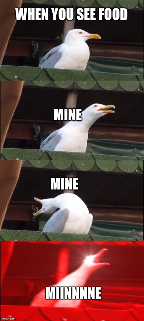 Inhaling Seagull | WHEN YOU SEE FOOD; MINE; MINE; MIINNNNE | image tagged in memes,inhaling seagull | made w/ Imgflip meme maker
