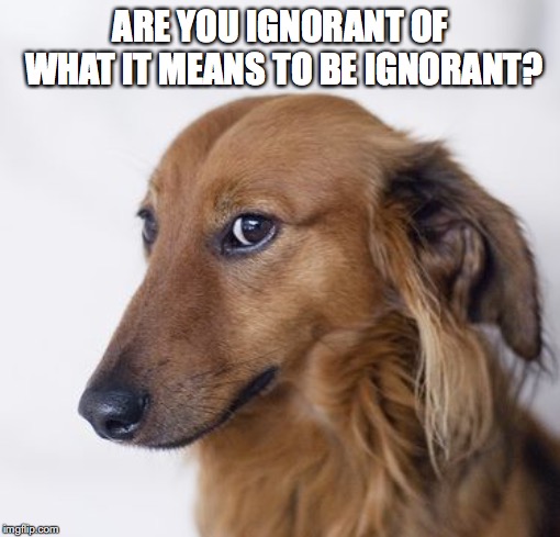 ARE YOU IGNORANT OF WHAT IT MEANS TO BE IGNORANT? | made w/ Imgflip meme maker