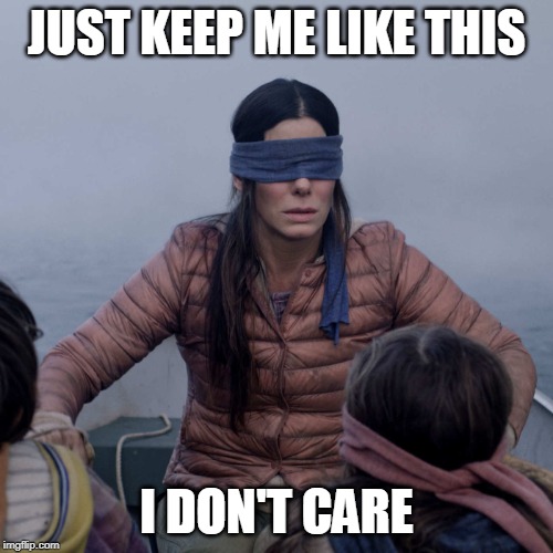 Bird Box Meme | JUST KEEP ME LIKE THIS; I DON'T CARE | image tagged in memes,bird box | made w/ Imgflip meme maker