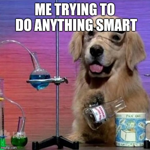 I Have No Idea What I Am Doing Dog | ME TRYING TO DO ANYTHING SMART | image tagged in memes,i have no idea what i am doing dog | made w/ Imgflip meme maker