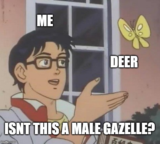 Is This A Pigeon | ME; DEER; ISNT THIS A MALE GAZELLE? | image tagged in memes,is this a pigeon | made w/ Imgflip meme maker