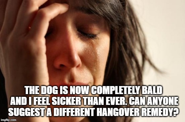 First World Problems Meme | THE DOG IS NOW COMPLETELY BALD AND I FEEL SICKER THAN EVER. CAN ANYONE SUGGEST A DIFFERENT HANGOVER REMEDY? | image tagged in memes,first world problems | made w/ Imgflip meme maker