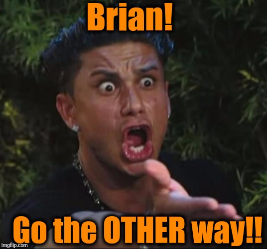 for crying out loud | Brian! Go the OTHER way!! | image tagged in for crying out loud | made w/ Imgflip meme maker