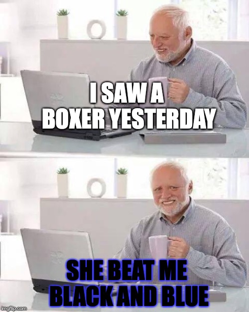 Hide the Pain Harold | I SAW A BOXER YESTERDAY; SHE BEAT ME BLACK AND BLUE | image tagged in memes,hide the pain harold | made w/ Imgflip meme maker