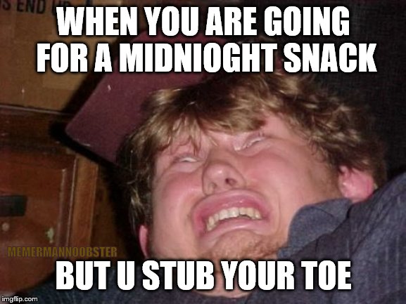 WTF | WHEN YOU ARE GOING FOR A MIDNIOGHT SNACK; BUT U STUB YOUR TOE; MEMERMANNOOBSTER | image tagged in memes,wtf | made w/ Imgflip meme maker