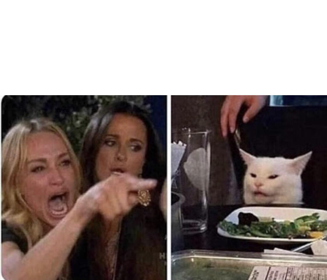 High Quality Ladies Yelling at Confused Cat Blank Meme Template