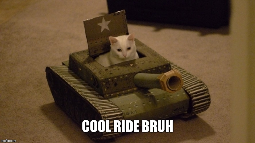 Cat driving a tank | COOL RIDE BRUH | image tagged in cat driving a tank | made w/ Imgflip meme maker