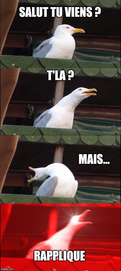 Inhaling Seagull | SALUT TU VIENS ? T'LA ? MAIS... RAPPLIQUE | image tagged in memes,inhaling seagull | made w/ Imgflip meme maker