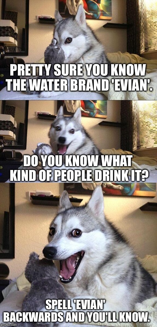 Bad Pun Dog Meme | PRETTY SURE YOU KNOW THE WATER BRAND 'EVIAN'. DO YOU KNOW WHAT KIND OF PEOPLE DRINK IT? SPELL 'EVIAN' BACKWARDS AND YOU'LL KNOW. | image tagged in memes,bad pun dog | made w/ Imgflip meme maker
