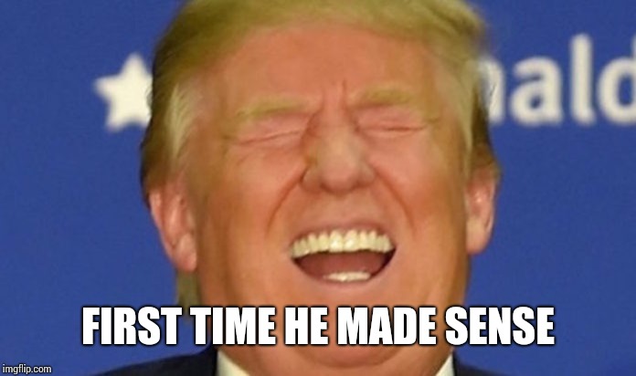 Trump laughing | FIRST TIME HE MADE SENSE | image tagged in trump laughing | made w/ Imgflip meme maker