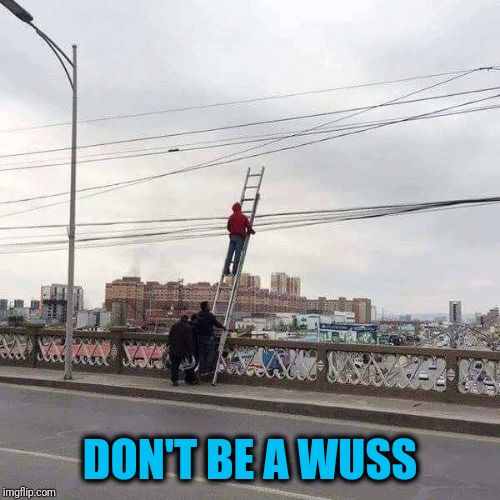 We'll hold the ladder - perfectly safe | DON'T BE A WUSS | image tagged in dunce | made w/ Imgflip meme maker