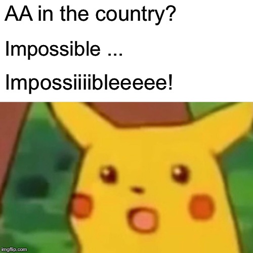 Surprised Pikachu Meme | AA in the country? Impossible ... Impossiiiibleeeee! | image tagged in memes,surprised pikachu | made w/ Imgflip meme maker