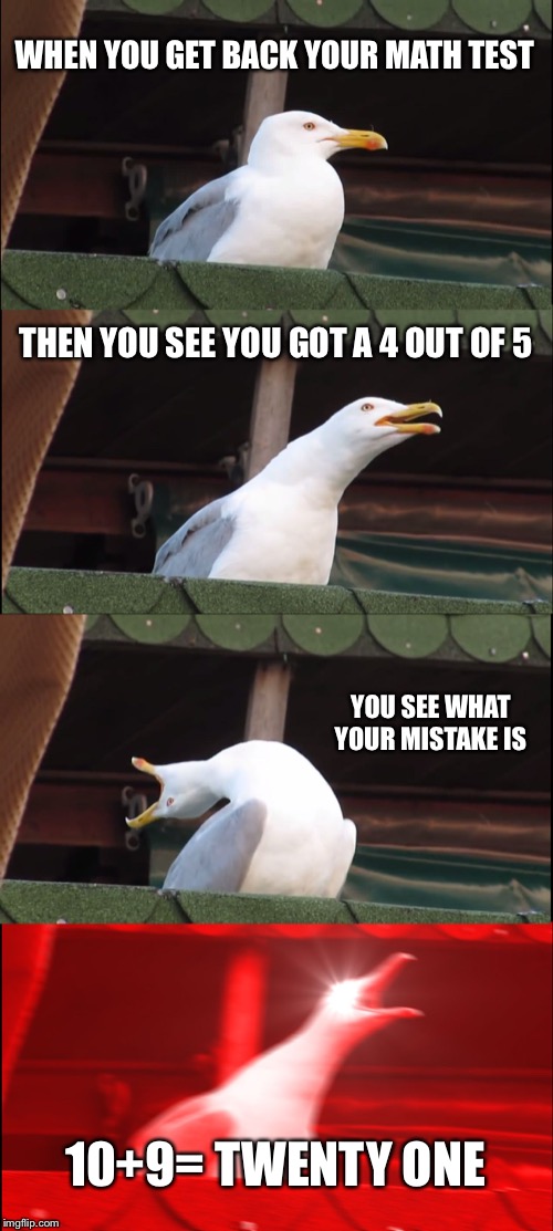 Inhaling Seagull | WHEN YOU GET BACK YOUR MATH TEST; THEN YOU SEE YOU GOT A 4 OUT OF 5; YOU SEE WHAT YOUR MISTAKE IS; 10+9= TWENTY ONE | image tagged in memes,inhaling seagull | made w/ Imgflip meme maker