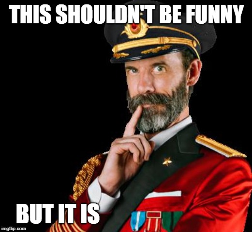 captain obvious | THIS SHOULDN'T BE FUNNY BUT IT IS | image tagged in captain obvious | made w/ Imgflip meme maker