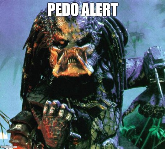 predator | PEDO ALERT | image tagged in predator | made w/ Imgflip meme maker