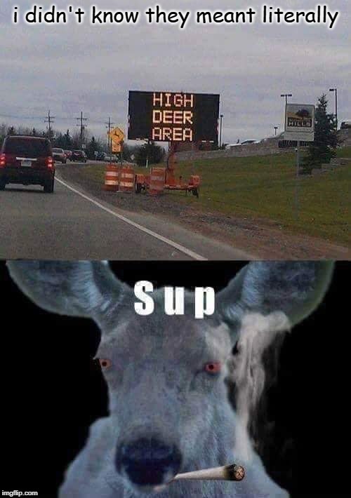 high there | i didn't know they meant literally | image tagged in high there,memes,reindeer | made w/ Imgflip meme maker