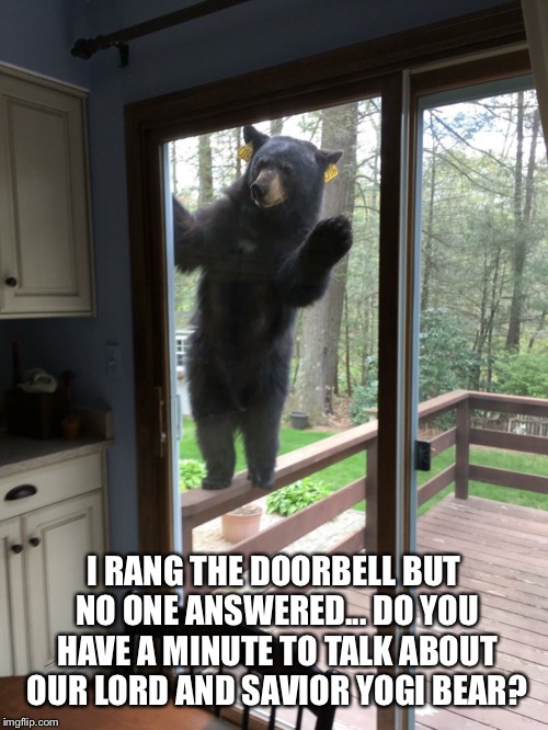 bear window | I RANG THE DOORBELL BUT NO ONE ANSWERED... DO YOU HAVE A MINUTE TO TALK ABOUT OUR LORD AND SAVIOR YOGI BEAR? | image tagged in bear window | made w/ Imgflip meme maker
