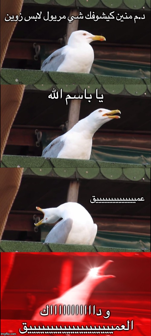 Inhaling Seagull Meme | د.م منين كيشوفك شي مريول لابس زوين; يا باسم الله; عمييييييييييييييق; و داااااااااااك العمييييييييييييييييييييق | image tagged in memes,inhaling seagull | made w/ Imgflip meme maker