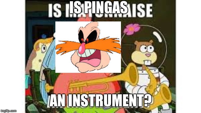 IS pingas an instrument | IS PINGAS; AN INSTRUMENT? | image tagged in sonic the hedgehog,spongebob | made w/ Imgflip meme maker