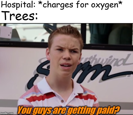 You Guys are Getting Paid | Hospital: *charges for oxygen*; Trees:; You guys are getting paid? | image tagged in you guys are getting paid | made w/ Imgflip meme maker